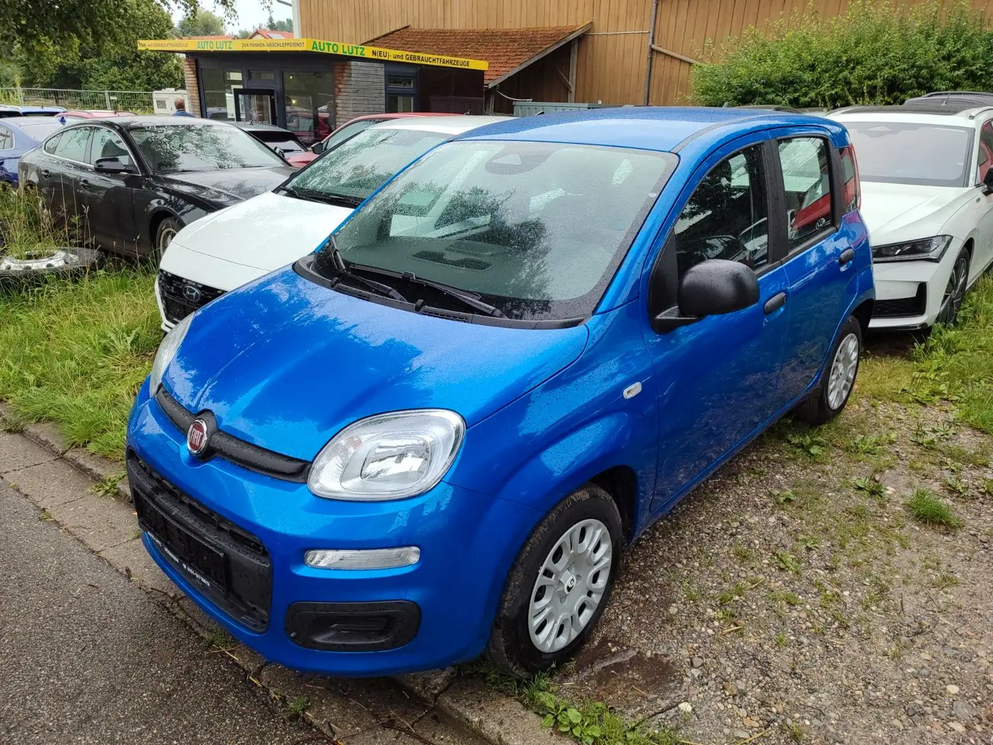 Fiat Panda 1.0 GSE Hybrid Bleu - 1