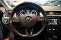 Skoda Rapid/Spaceback 1.4 TSI DSG Spaceback Style Bi-Xenon Grau - thumbnail 20
