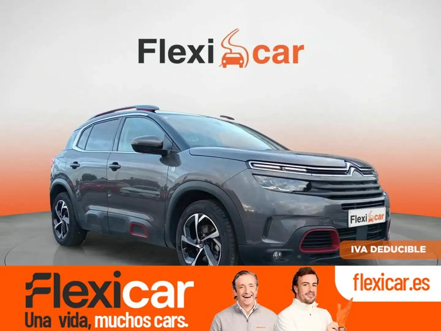 Citroen C5 Aircross BlueHdi 96kW (130CV) S&S EAT8 C Series Gris - 1