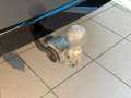 Volkswagen Tiguan 2.0 TDI DSG R-Line 4Motion AHK IQ LED APP Gris - thumbnail 21