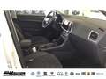 SEAT Ateca Style 1.5 TSI DSG AHK BEATS NAVI KAMERA PARK ACC L Weiß - thumbnail 6