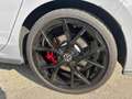 Volkswagen Golf GTI Golf 2.0 TSI GTI DSG Grigio - thumbnail 9