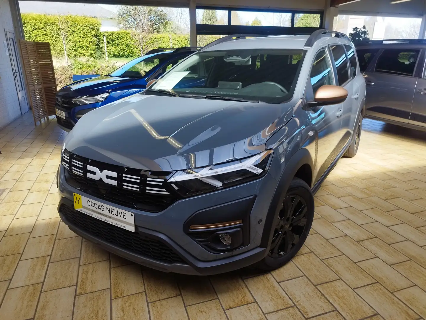 Dacia Jogger 1.0 TCe Extreme 7pl. full options Gris - 1