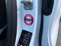 Ford Puma 1.5 TDCI Titanium DIESEL I UNIEK I CARPLAY I WINTE Blanc - thumbnail 18