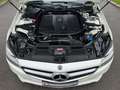 Mercedes-Benz CLS 250 CLS 250 BlueTec / d (218.904) Weiß - thumbnail 20