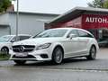 Mercedes-Benz CLS 250 CLS 250 BlueTec / d (218.904) Weiß - thumbnail 1