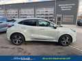 Ford Puma ST-Line 1.0 EcoBoost Mild Hybrid ST-Linie S/S (... Gris - thumbnail 6