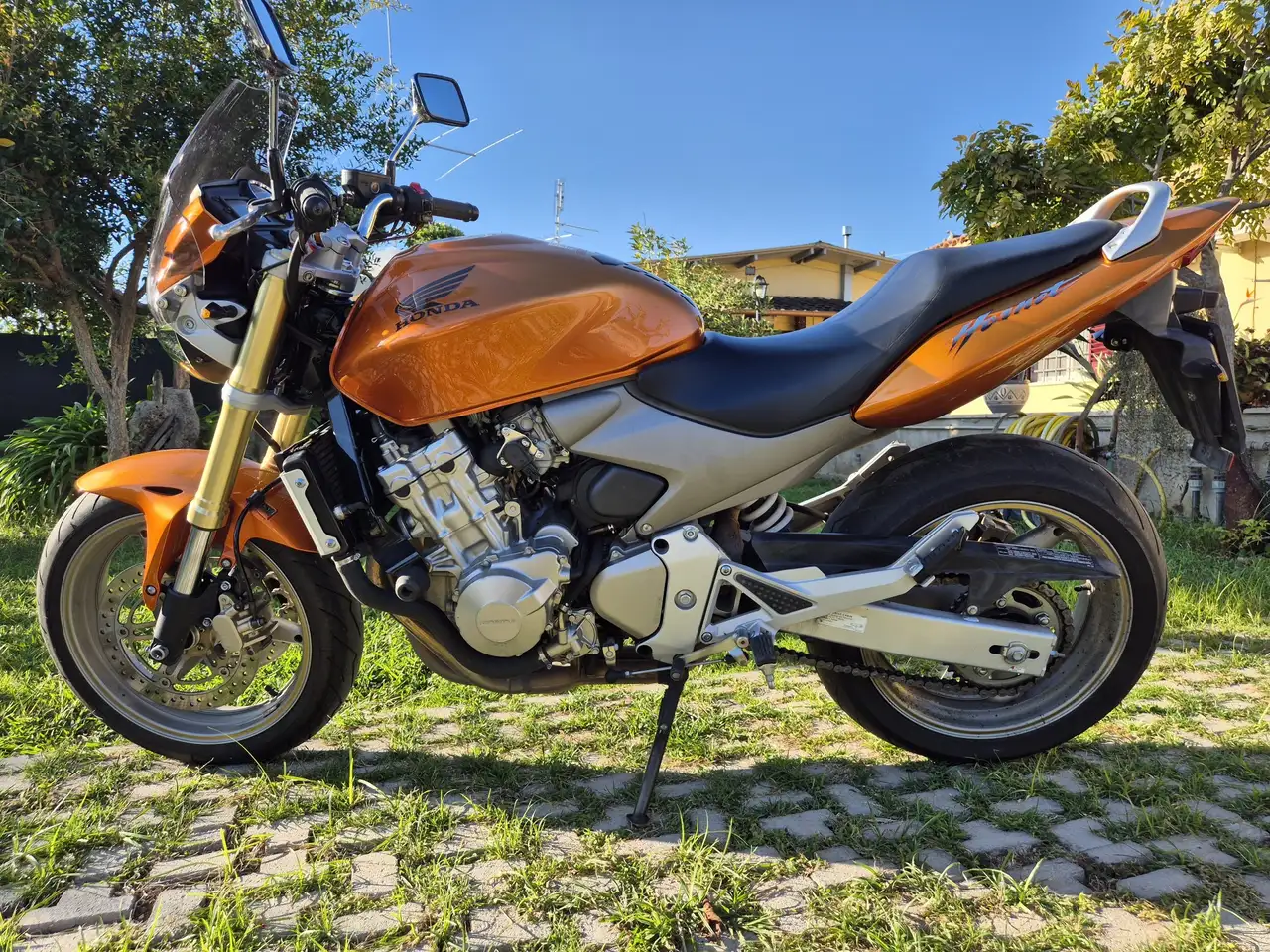 Honda Hornet