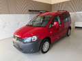 Volkswagen Caddy Kombi Family BMT 1,2 TSI Anhängevorrichtung, Rü... Rot - thumbnail 1
