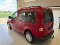 Volkswagen Caddy Kombi Family BMT 1,2 TSI Anhängevorrichtung, Rü... Rot - thumbnail 9