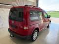 Volkswagen Caddy Kombi Family BMT 1,2 TSI Anhängevorrichtung, Rü... Rot - thumbnail 18