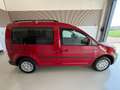Volkswagen Caddy Kombi Family BMT 1,2 TSI Anhängevorrichtung, Rü... Rot - thumbnail 22