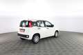 Fiat Panda 1.0 FireFly S&S Hybrid Pop Blanc - thumbnail 3