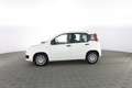 Fiat Panda 1.0 FireFly S&S Hybrid Pop Blanc - thumbnail 6