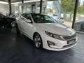 Kia Optima Spirit Hybrid Biały - thumbnail 1