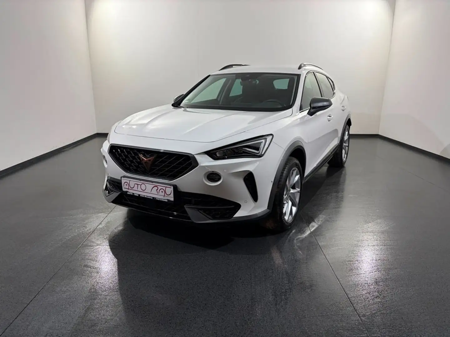 CUPRA Formentor 2.0 TDI 4Drive DSG *LED*ACC*PDC* Weiß - 2