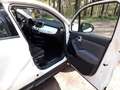 Fiat 500X 500X 1.6 E-torQ 4x2 Web Edition Weiß - thumbnail 9