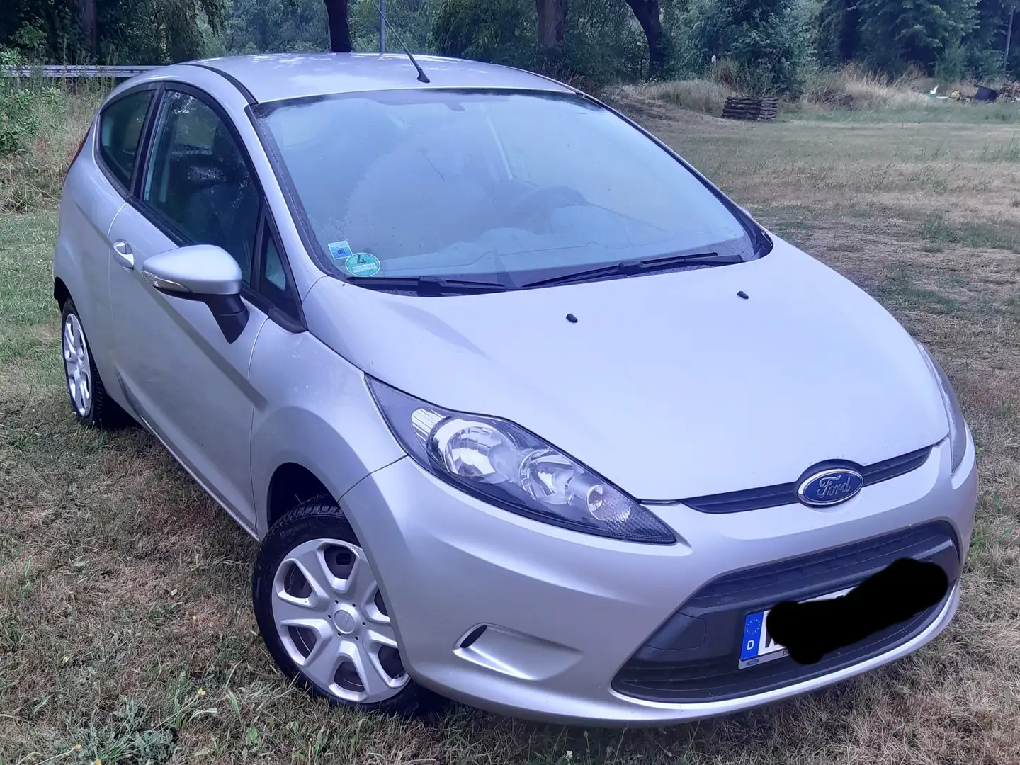 Ford Fiesta Fiesta 1.25 Trend Silber - 1