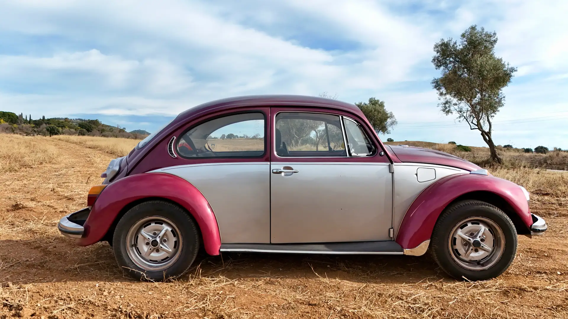 Volkswagen Escarabajo 1300 Violett - 2