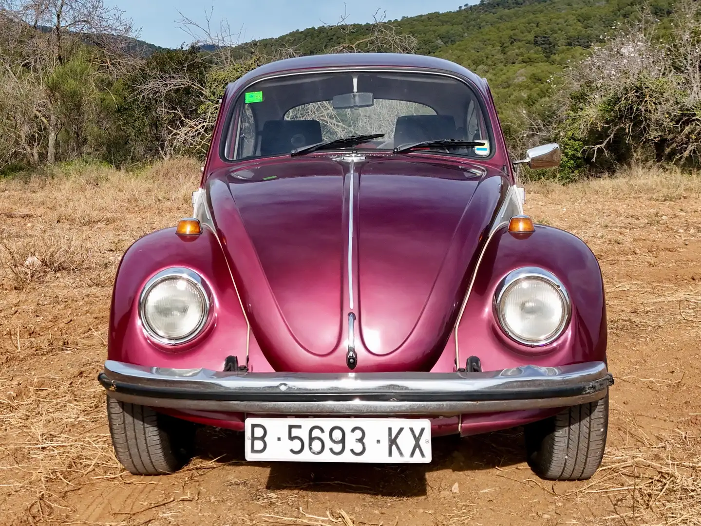 Volkswagen Escarabajo 1300 Violett - 1