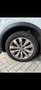 Volkswagen T-Roc T-Roc 1.0 TSI Sport Wit - thumbnail 13