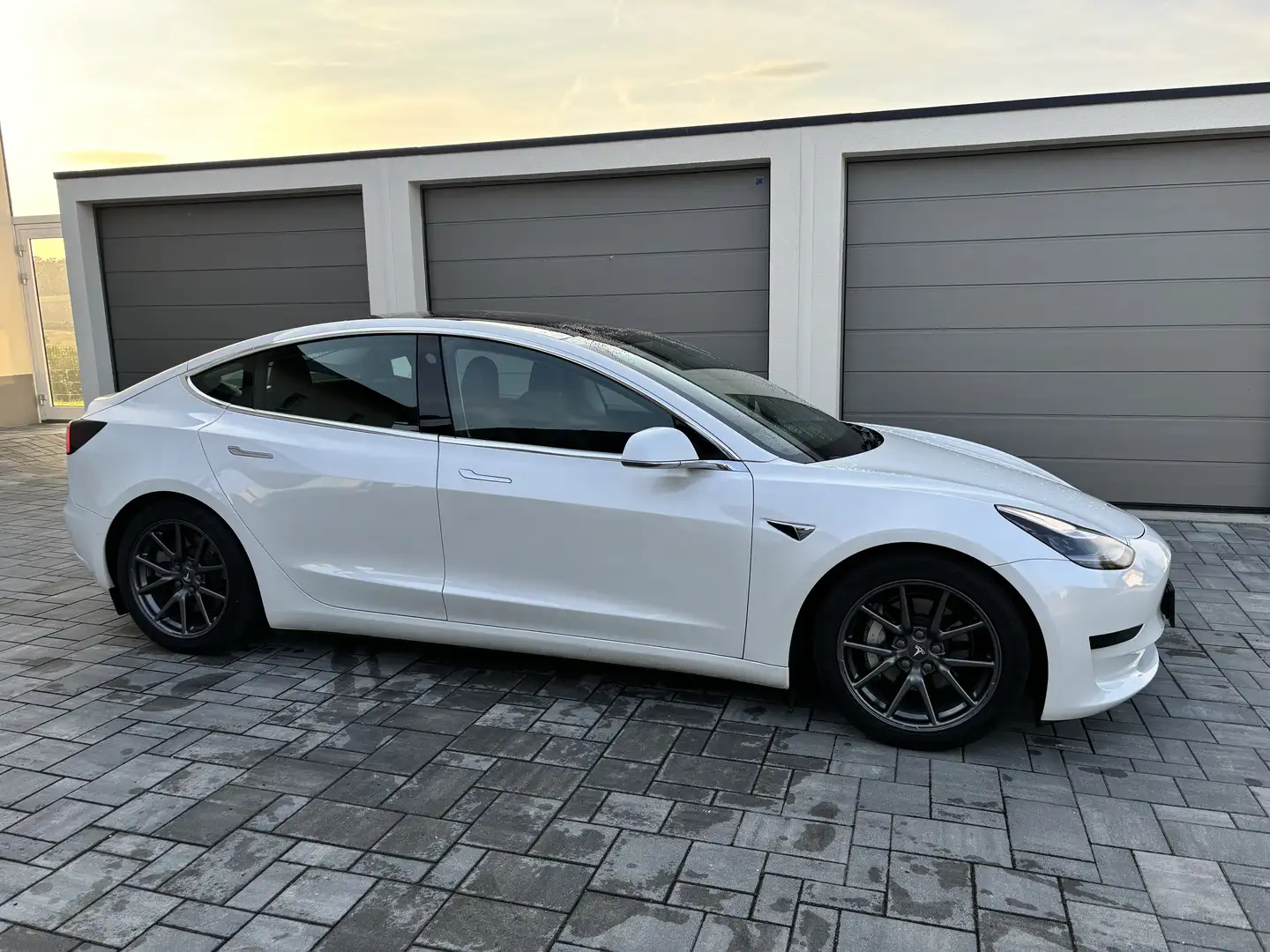 Tesla Model 3 SR Plus Hinterradantrieb, Modell 2020, 239 kW - 2