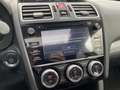 Subaru Levorg 1.6 GT-S AWD 170 pk Premium AUT. | dealer onderhou Grau - thumbnail 33