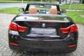 BMW 420 420i Cabrio Aut. Sport Line*Nackenwärmer*Leder Brązowy - thumbnail 6