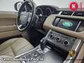 Land Rover Range Rover Sport Range Rover Sport 3.0 TDV6 SE Grün - thumbnail 28