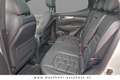 Nissan Qashqai Tekna+ Weiß - thumbnail 7