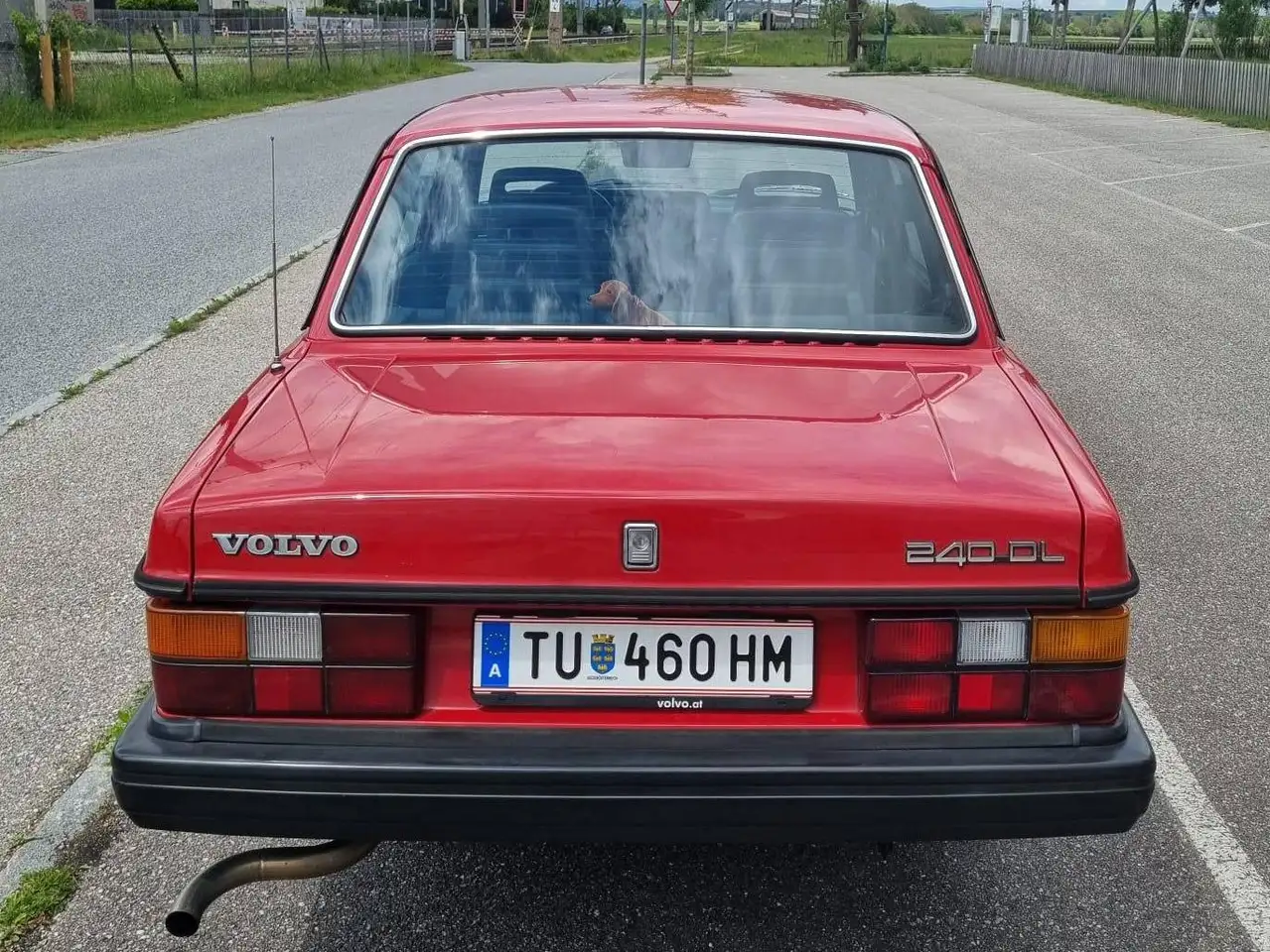 Volvo 240 DL, foto 6