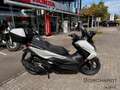 Honda Forza 125 *Mod.2025*Sofort Verf.*6Jahre Garantie*Grau*15PS.B Gris - thumbnail 2