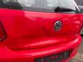 Volkswagen Polo Trendline V (6R1) Piros - thumbnail 10