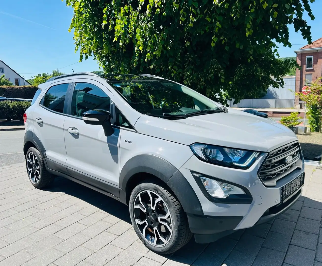 Ford EcoSport Active Gris - 1