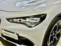 Alfa Romeo Stelvio 2.2 t Veloce Q4 210cv auto Grigio - thumbnail 3