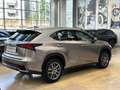 Lexus NX 300 h 2.5 Luxury 4wd cvt - 18" - Camera - Navi - Pelle Gris - thumbnail 4