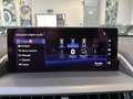 Lexus NX 300 h 2.5 Luxury 4wd cvt - 18" - Camera - Navi - Pelle Gris - thumbnail 15