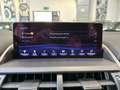 Lexus NX 300 h 2.5 Luxury 4wd cvt - 18" - Camera - Navi - Pelle Gris - thumbnail 17