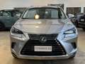 Lexus NX 300 h 2.5 Luxury 4wd cvt - 18" - Camera - Navi - Pelle Gris - thumbnail 6