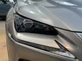 Lexus NX 300 h 2.5 Luxury 4wd cvt - 18" - Camera - Navi - Pelle Gris - thumbnail 7