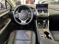 Lexus NX 300 h 2.5 Luxury 4wd cvt - 18" - Camera - Navi - Pelle Gris - thumbnail 11