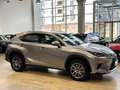 Lexus NX 300 h 2.5 Luxury 4wd cvt - 18" - Camera - Navi - Pelle Gris - thumbnail 5