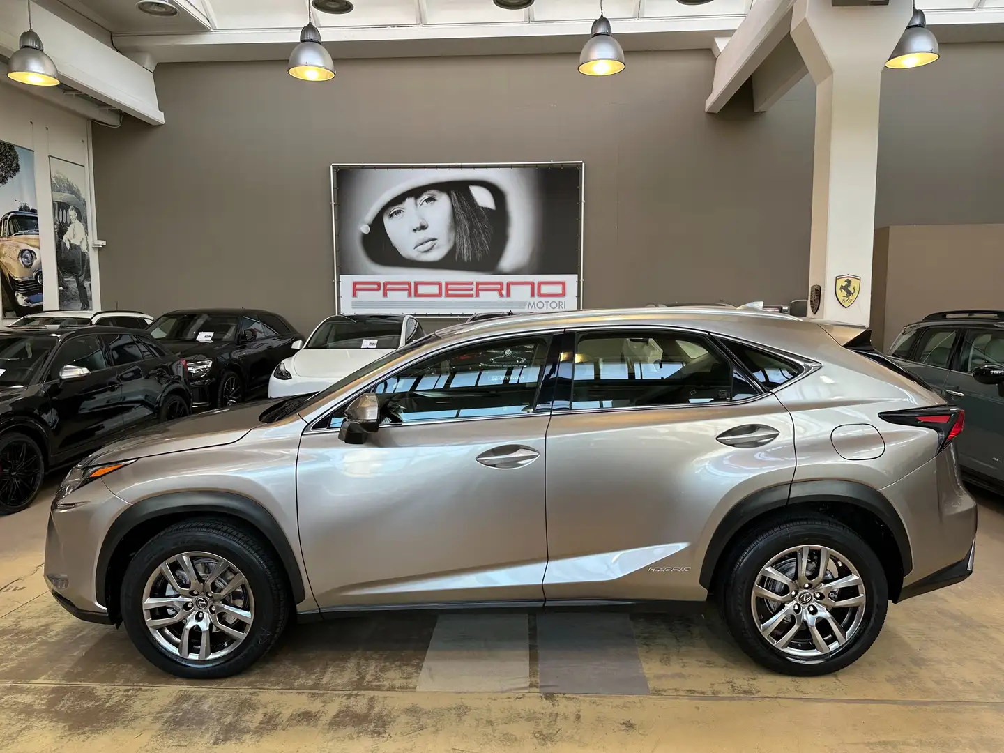 Lexus NX 300 h 2.5 Luxury 4wd cvt - 18" - Camera - Navi - Pelle Gris - 2