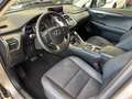 Lexus NX 300 h 2.5 Luxury 4wd cvt - 18" - Camera - Navi - Pelle Gris - thumbnail 9