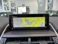Lexus NX 300 h 2.5 Luxury 4wd cvt - 18" - Camera - Navi - Pelle Gris - thumbnail 14