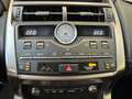 Lexus NX 300 h 2.5 Luxury 4wd cvt - 18" - Camera - Navi - Pelle Gris - thumbnail 19
