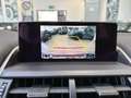 Lexus NX 300 h 2.5 Luxury 4wd cvt - 18" - Camera - Navi - Pelle Gris - thumbnail 18