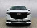Cadillac Escalade Escalade Sport Platinum AEC Hdl 3 Jahre Garantie Alb - thumbnail 8
