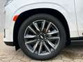 Cadillac Escalade Escalade Sport Platinum AEC Hdl 3 Jahre Garantie Alb - thumbnail 9