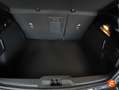 Ford Focus 1.0 Ecoboost MHEV 92kW ST-Line Negro - thumbnail 18